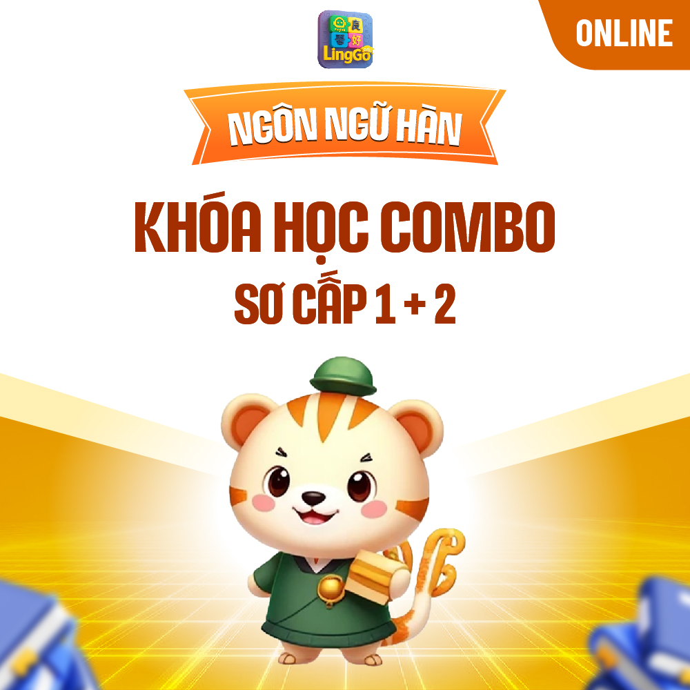 Combo Sơ cấp