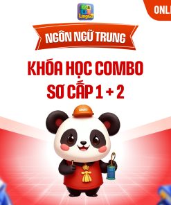 Combo Sơ cấp 1+2